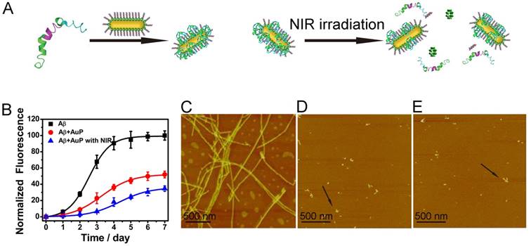 Theranostics Image