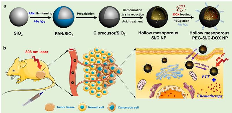 Theranostics Image