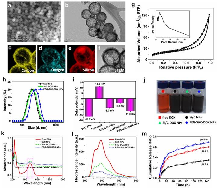 Theranostics Image