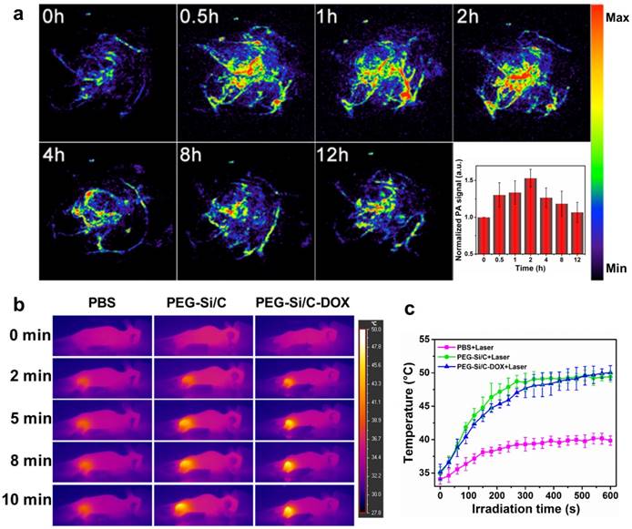 Theranostics Image