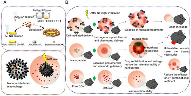 Theranostics Image