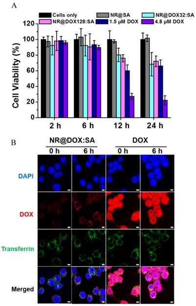 Theranostics Image