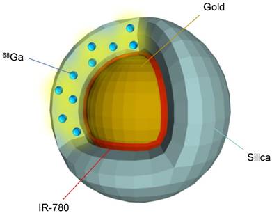 Theranostics Image