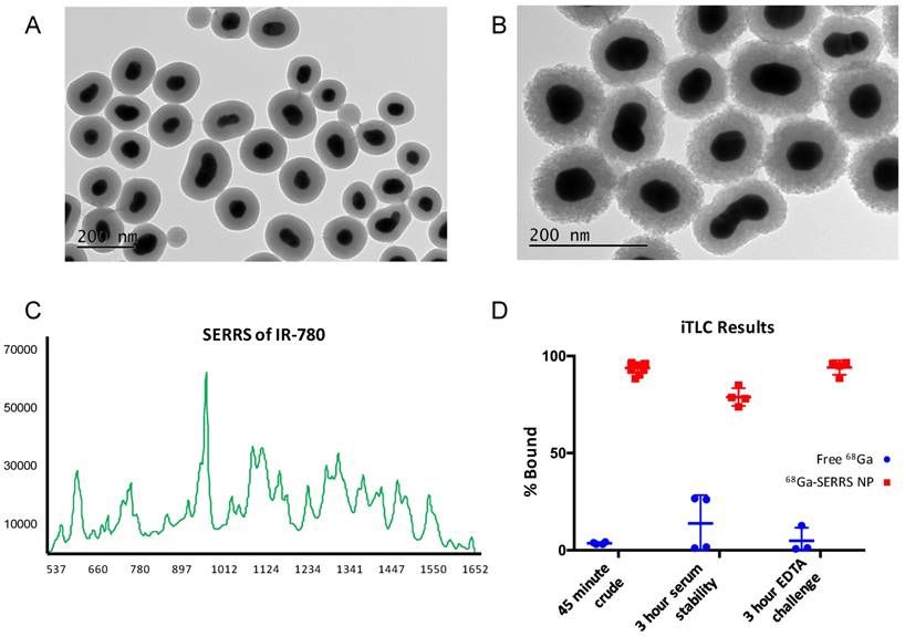 Theranostics Image