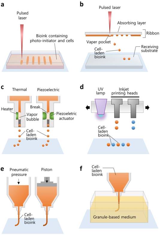 Theranostics Image