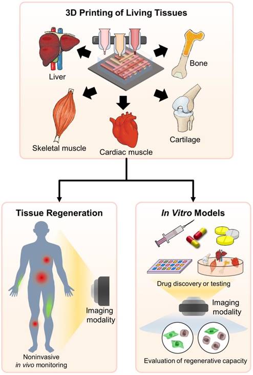 Theranostics Image