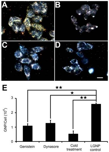 Theranostics Image