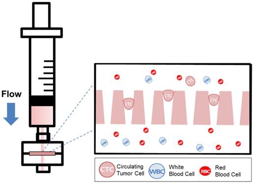 Theranostics Image