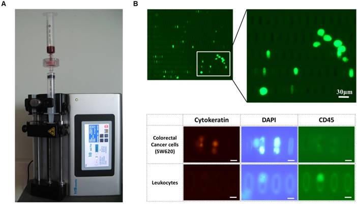 Theranostics Image