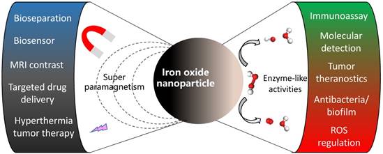 Theranostics Image