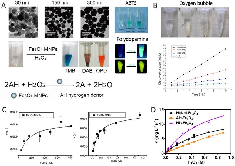 Theranostics Image