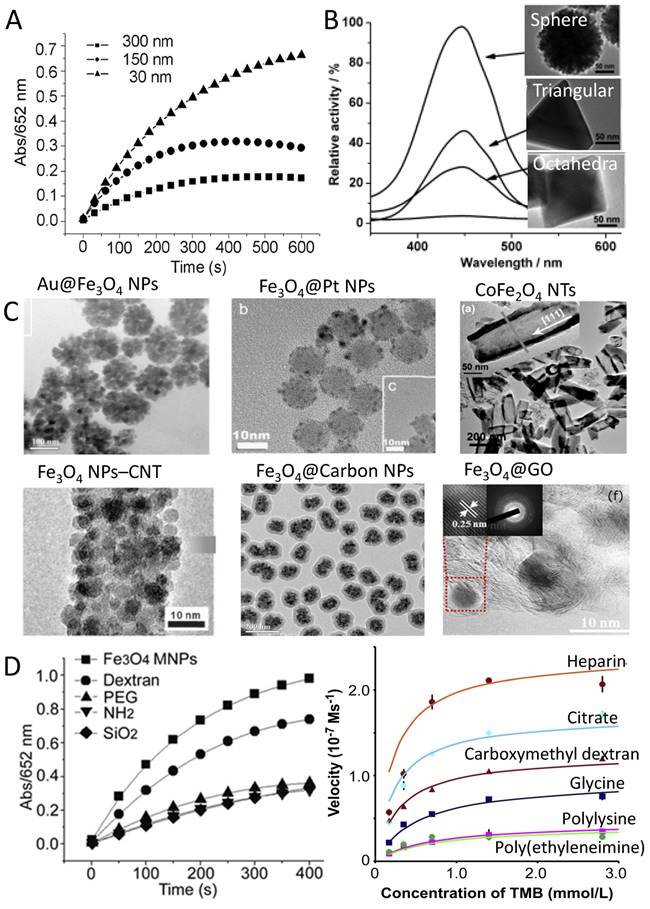 Theranostics Image