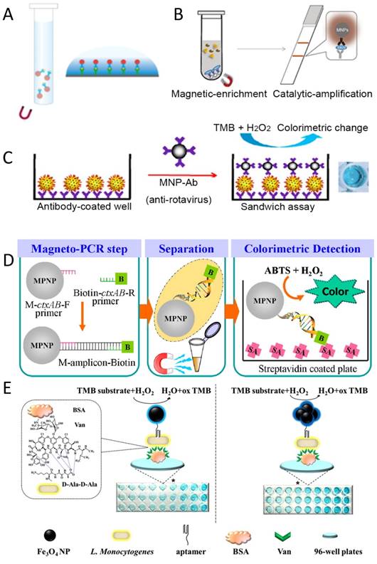 Theranostics Image