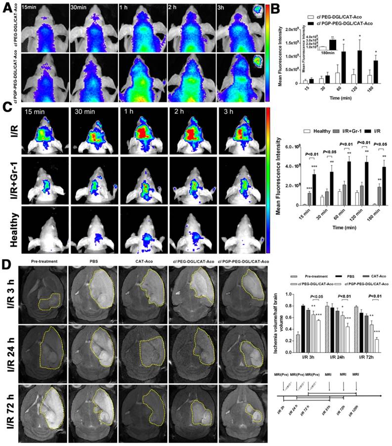 Theranostics Image