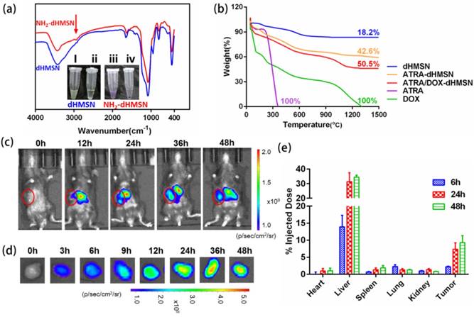 Theranostics Image