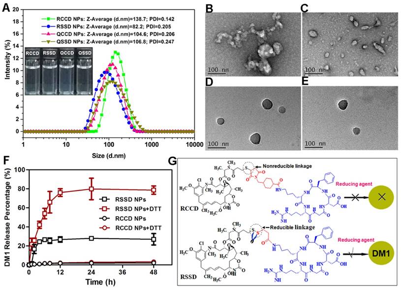 Theranostics Image