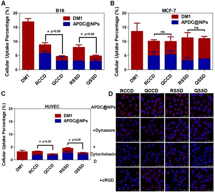 A Nanosystem of Amphiphilic Oligopeptide-Drug Conjugate Actualizing ...