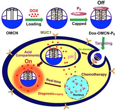 Theranostics Image