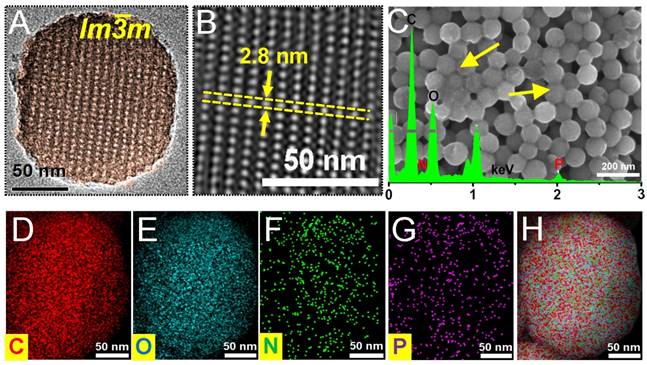 Theranostics Image