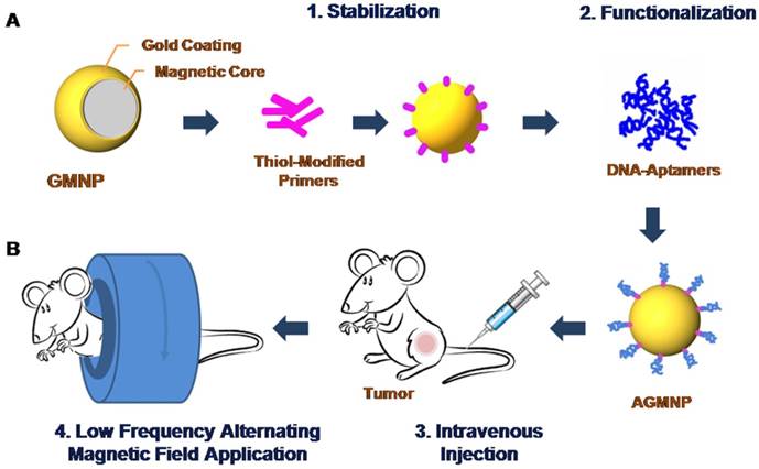 Theranostics Image