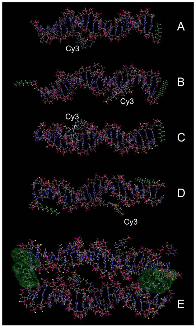 Theranostics Image