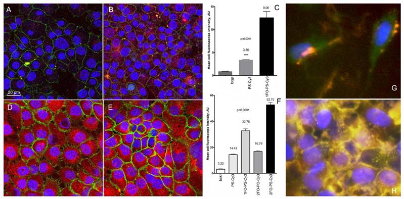 Theranostics Image