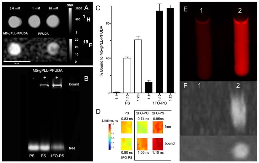 Theranostics Image