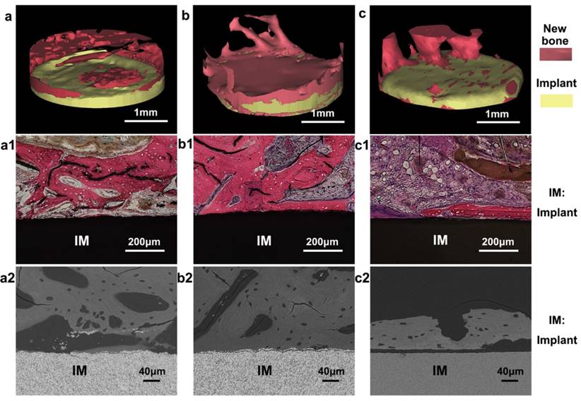 Theranostics Image