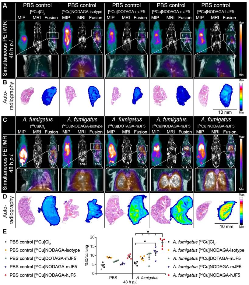 Theranostics Image