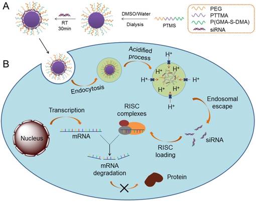 Theranostics Image