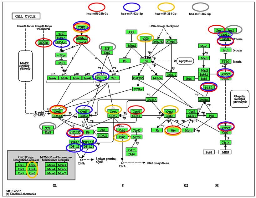 Theranostics Image