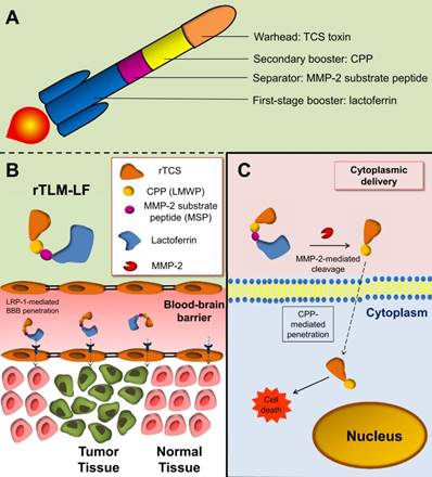 Theranostics Image