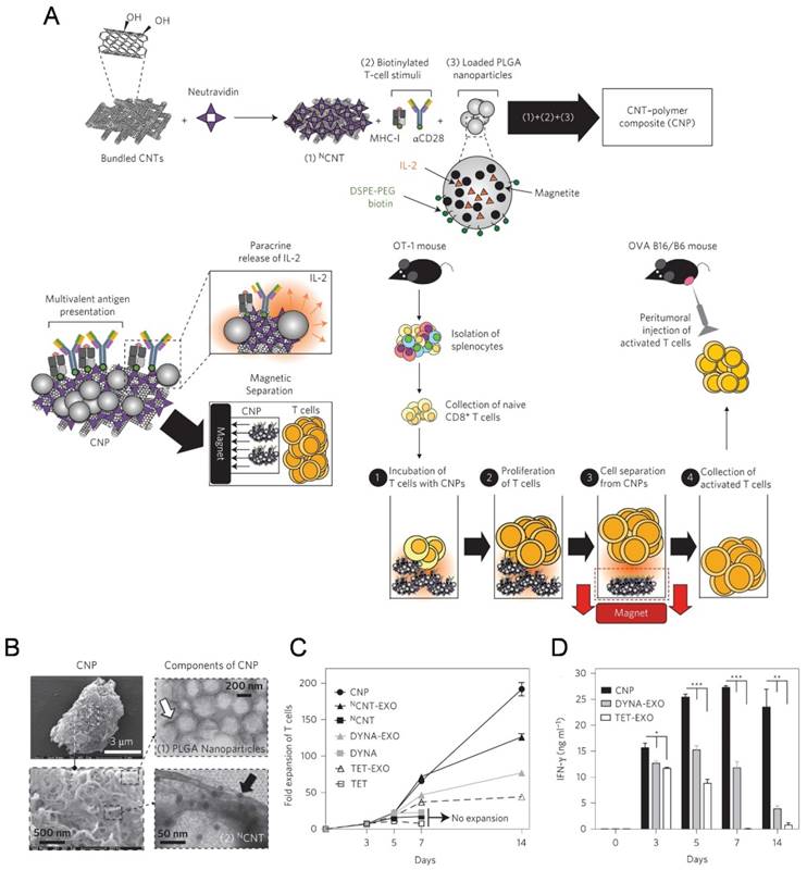 Theranostics Image