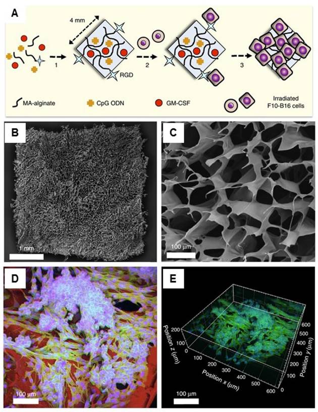 Theranostics Image