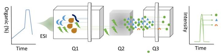 Theranostics Image