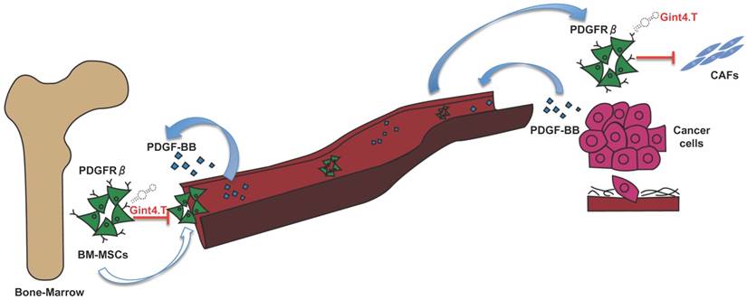 Theranostics Image