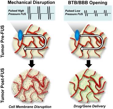 Theranostics Image