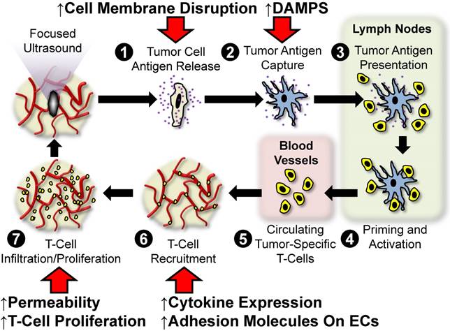 Theranostics Image