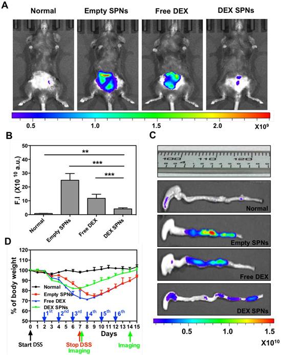 Theranostics Image