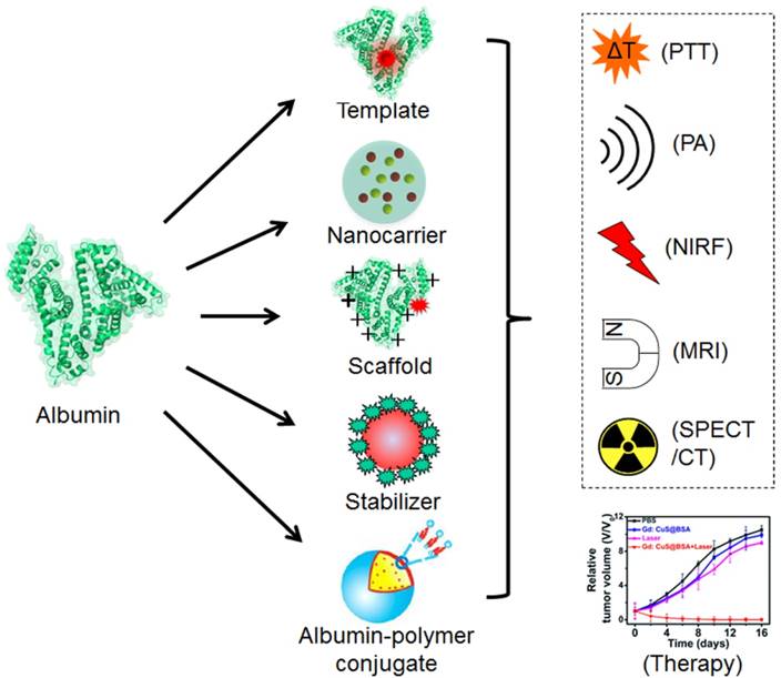 Theranostics Image