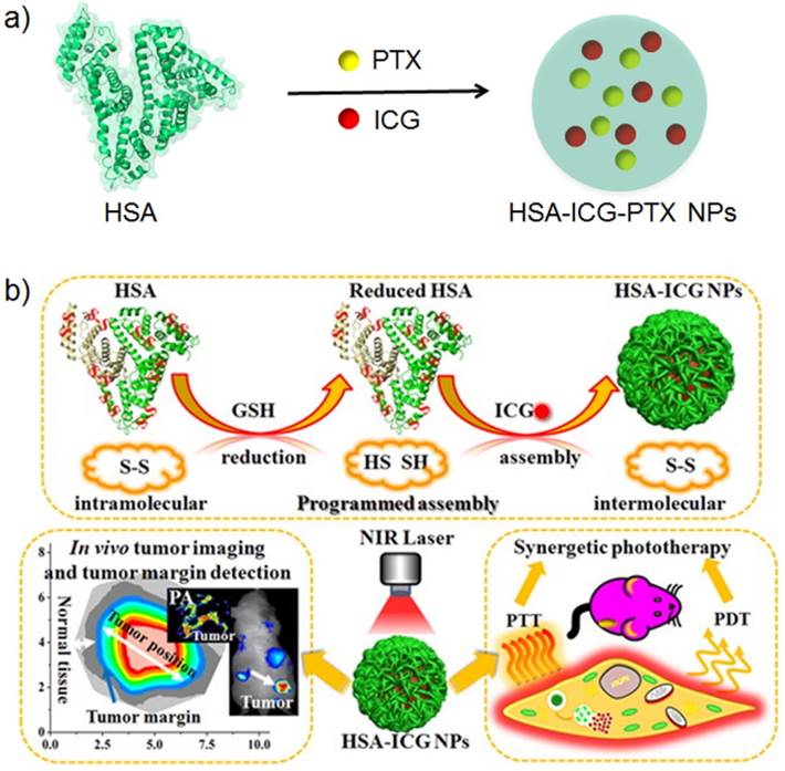 Theranostics Image