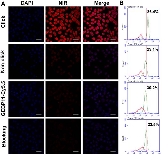 Theranostics Image