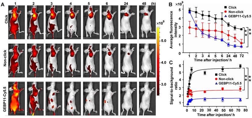 Theranostics Image