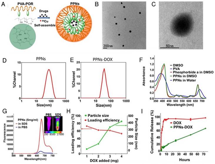 Theranostics Image