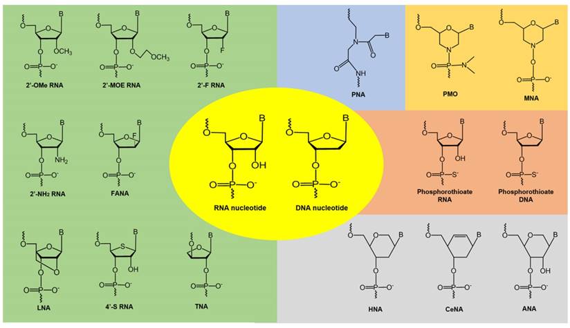 Theranostics Image