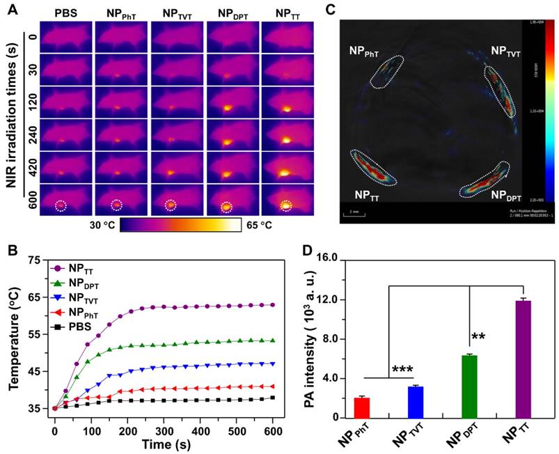 Theranostics Image