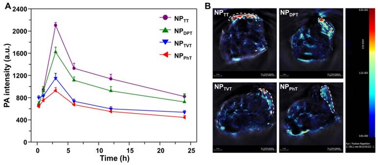 Theranostics Image