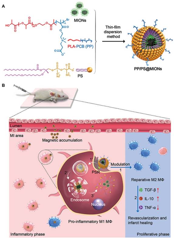 Theranostics Image