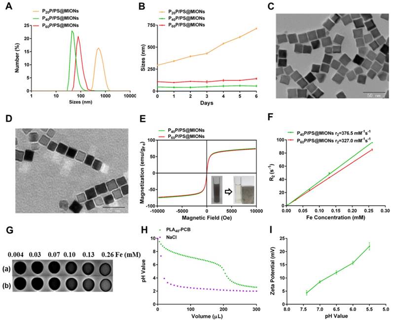 Theranostics Image