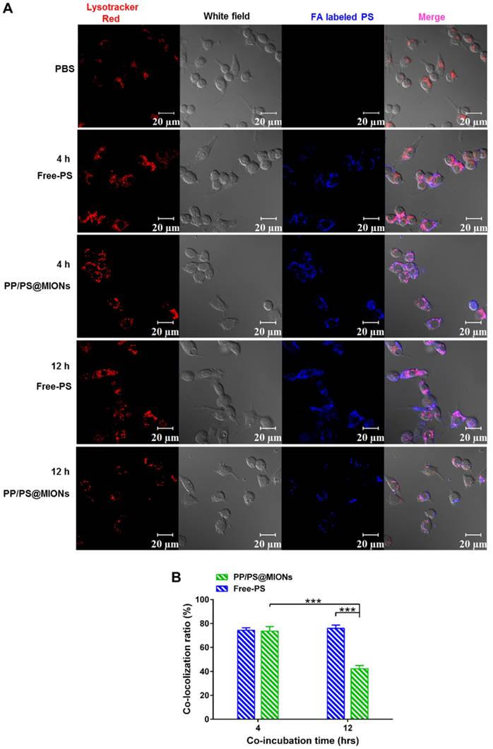 Theranostics Image